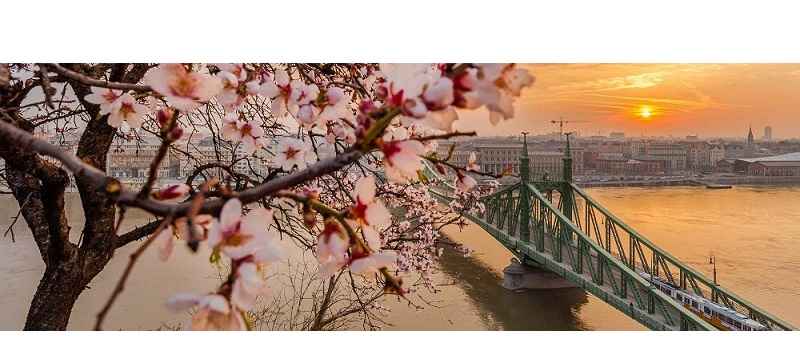 Musim Semi di Budapest - Cerpen Ichwan Arifin